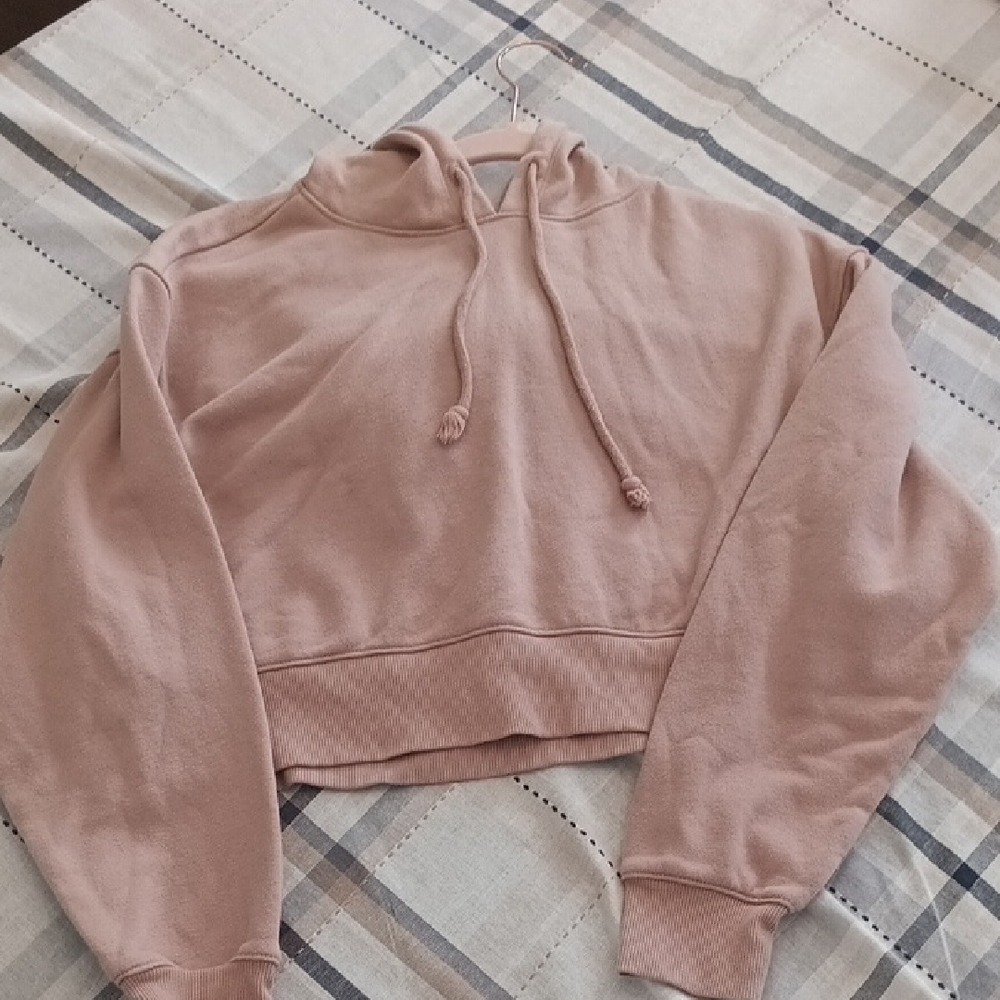Wild Fable Dusty Pink Cropped Hoodie
